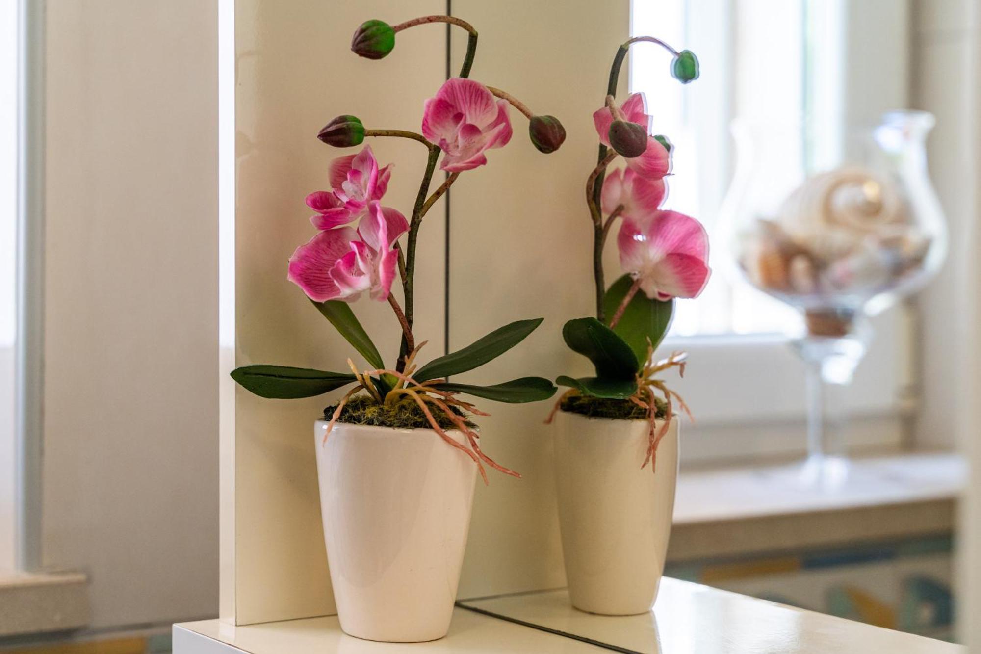 Apartments & Room Frane Dubrovnik Phòng bức ảnh